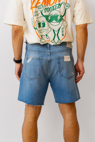 Joes Denim Shorts in Florence