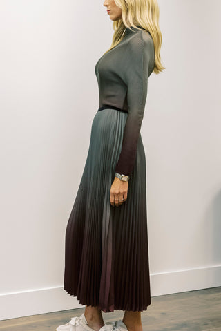 WILD COSMOS Kate Ombre Skirt