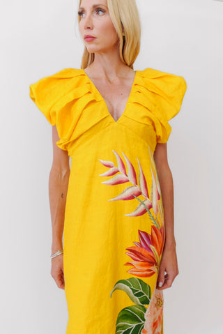 Farm Rio Spring Awaking Dress