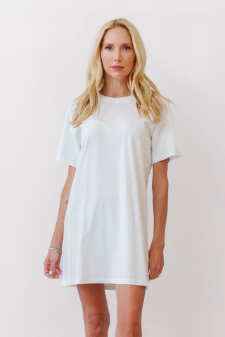 Z Supply Sway Mini Dress
