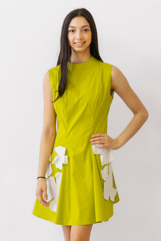 Crosby Declan Dress in Grasshopper