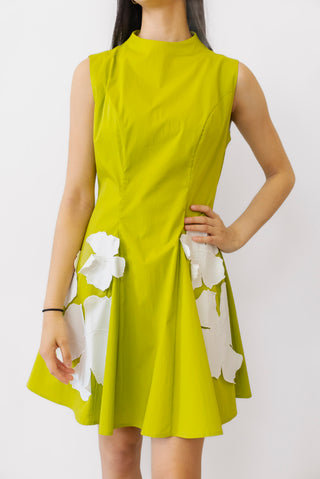 Crosby Declan Dress in Grasshopper