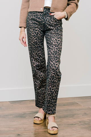 RAILS Topanga Pants