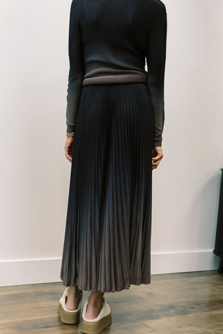 WILD COSMOS Kate Ombre Skirt
