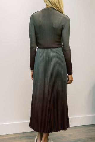 WILD COSMOS Kate Ombre Skirt